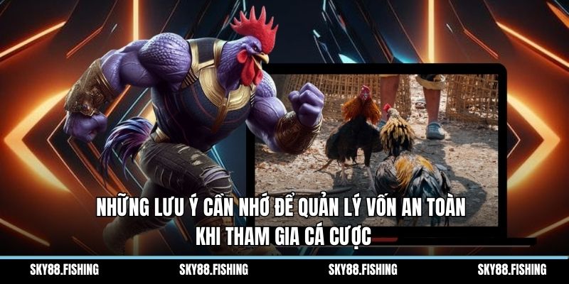 Những lưu ý cần nhớ để quản lý vốn an toàn khi tham gia cá cược