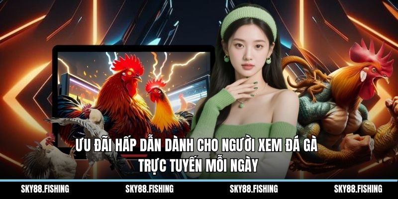 Ưu đãi hấp dẫn dành cho người xem đá gà trực tuyến mỗi ngày
